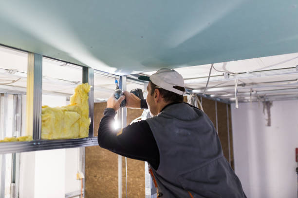 Best Eco-Friendly Insulation in Loyola, CA