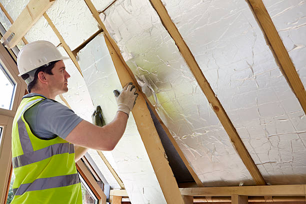 Types of Insulation We Offer in Loyola, CA